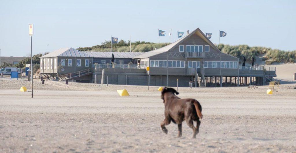 Strandpaviljoen Brouw hond uitlaten Brouwersdam