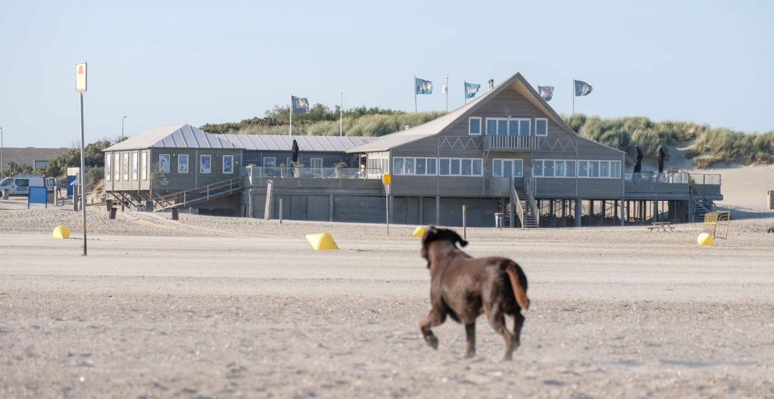 Strandpaviljoen Brouw hond uitlaten Brouwersdam